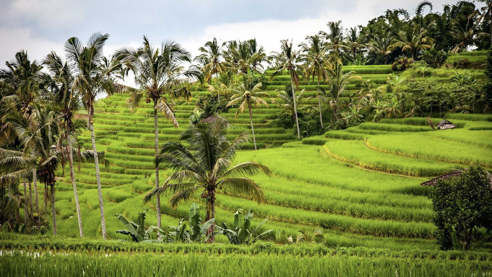 Voyages à Bali